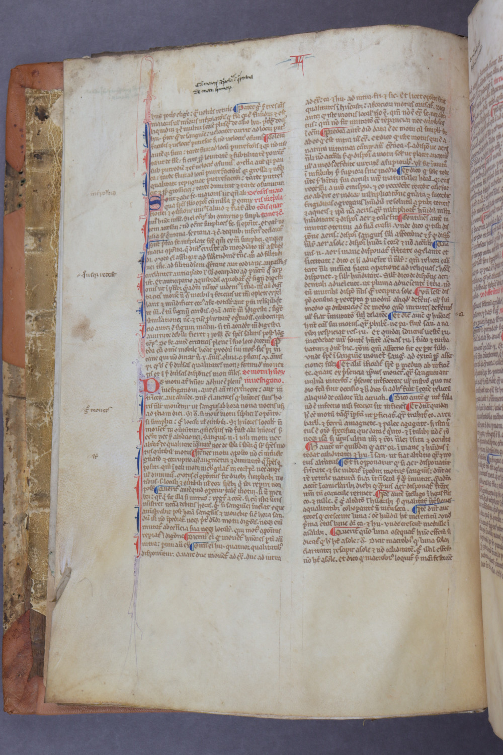 Folio 4 verso